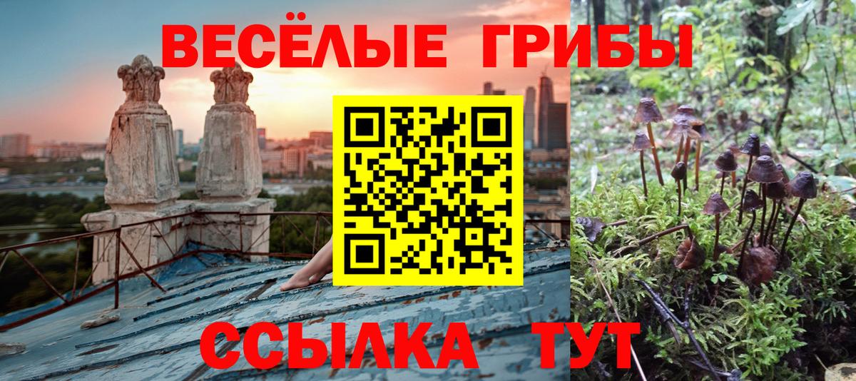 Губкин  Галлюциногенные грибы GOLDEN TEACHER  где продают   Вход с VPN 